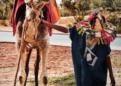 Discover Morocco with Elegance: The Refined Journey of Morocco Glimpse